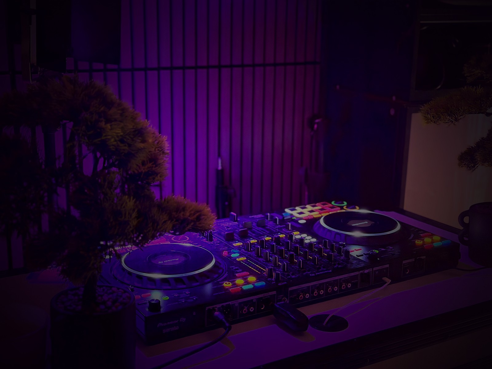 Pioneer DDJ-FLX10